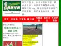台灣野球網