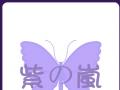 紫ソ嵐美容中心